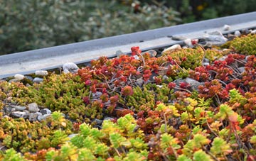 the cost of Clapton On The Hill green roof installation