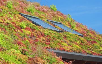 Clapton On The Hill living roof systems